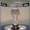 Borg-Warner Trophy